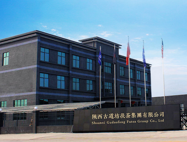 China Shaanxi Gudaofang Futea Group Co., Ltd. company profile