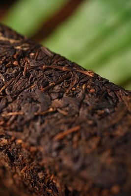 Brew to Drink Shaanxi Official Tea Silk Road Tour &quot;Emperor Tea&quot; Series Dark Tea for Weight Loss Fat Reduction Digestion and Stomach Health