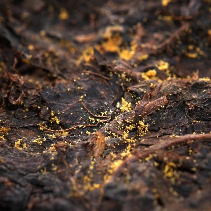 Custom Tea Manufacturers Hot Chinese Black Tea Compressed Style 5-10 Years Aged Large Quantity at Best